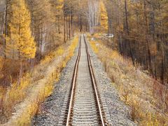 -莫尔道嘎国家森林公园