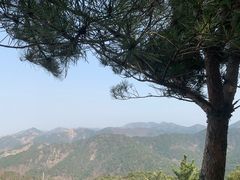 -金龙寺国家森林公园