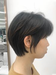 -蚂蚁造型沙龙