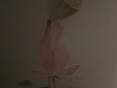 -鹤祥宫·影院足道·SPA连锁(鸿尊布吉店)