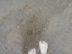 -碧海金沙