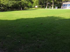 -瀛洲公园