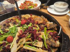 -老板恋上鱼(恒隆广场店)