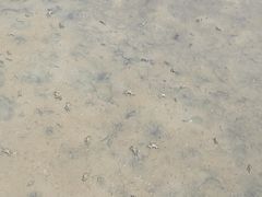 -北海金海湾红树林生态旅游区