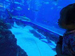 -成都浩海立方海洋公园