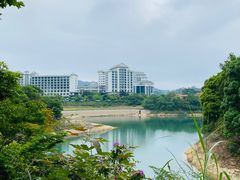 -河源万绿湖美思威尔顿酒店