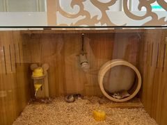 -广州锦绣香江度假别墅