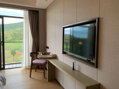 -世界恐龙谷景区