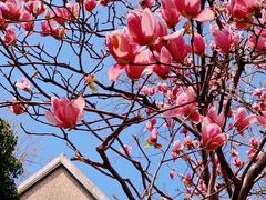 -常熟路(地铁站)