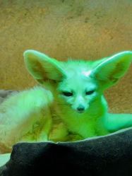 -酷嗒动物文化乐园(cutezoo西溪乐天城店)