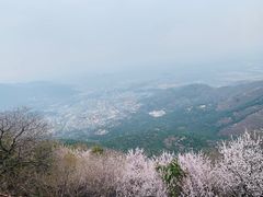 -香山公园