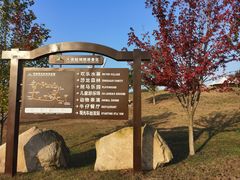 -大连铭湖国际观光牧场
