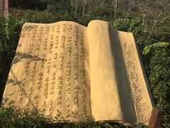 -天台国家森林公园水上茶乡九鹏溪