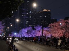 -西北湖绿化广场