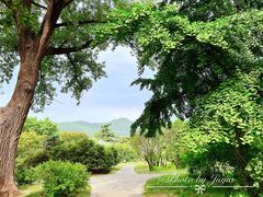 -国家植物园南园