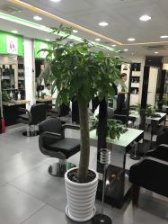 点击看大图 -永琪美容美发