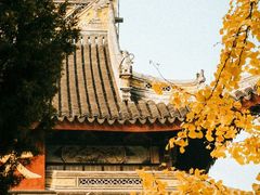 -西园戒幢律寺
