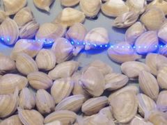 -澜悦港海鲜体验主题餐厅