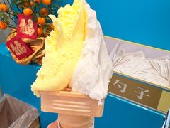 -柠檬车露(卖草地店)