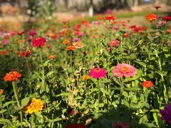 -永定河休闲森林公园