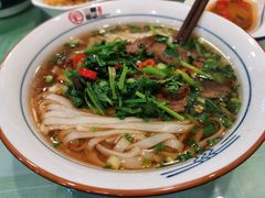 香菜卤牛肉-刘氏三和面馆