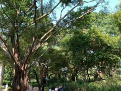 -九龙公园