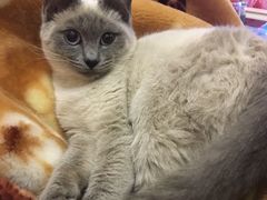 -荣耀金沙动物医院(清江西路店)