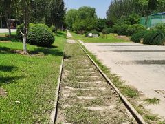 -永定河休闲森林公园