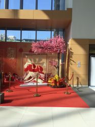 -安利上海体验馆