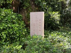 -鸿山公园