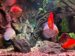 -上海海洋水族馆