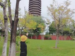 -西海子公园