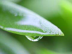 -北川羌城旅游区