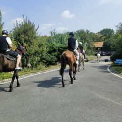 -上海万豪虹桥大酒店·宴会厅