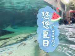 -新加坡水上探险乐园