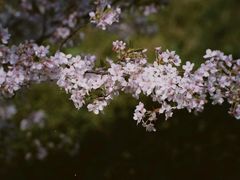 -幕燕滨江·燕子矶公园