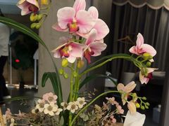 -施奈儿.洗头頭療.按摩SPA.采耳(上梅林店)