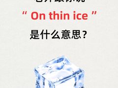 -引领英语·成人口语·雅思托福