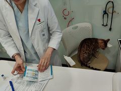 -悦宠凯宝动物医院·牙科·皮肤科(朝阳北路店)