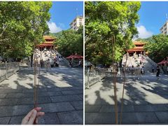 -深圳市中科院仙湖植物园
