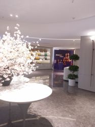 -广州美莱医疗美容医院