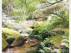 -赤水丹霞旅游区·佛光岩