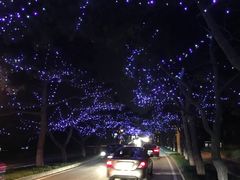 -海滨浴场