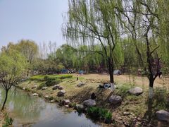 -西安世博园