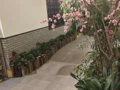 -森谷美食公园(杨行店)