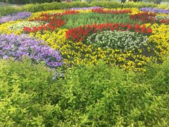 -长春公园(普阳街道)