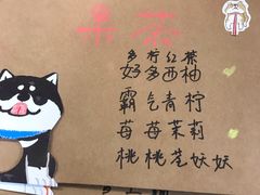 -柴迷FANS CLUB·柴犬狗咖·猫咖