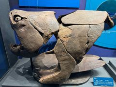 -国家自然博物馆