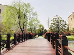 -上海崇明金茂凯悦酒店