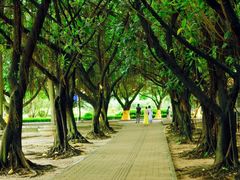 DSC_0839-南沙天后宫景区